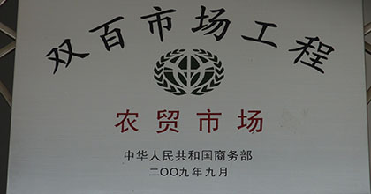 双百市场工程