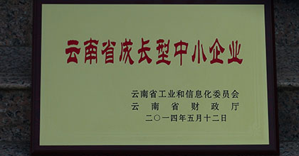 云南省成长型企业