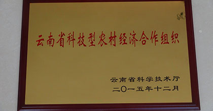 云南省科技型农村经济合作组织