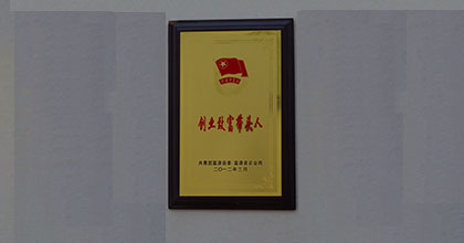 创业致富带头人